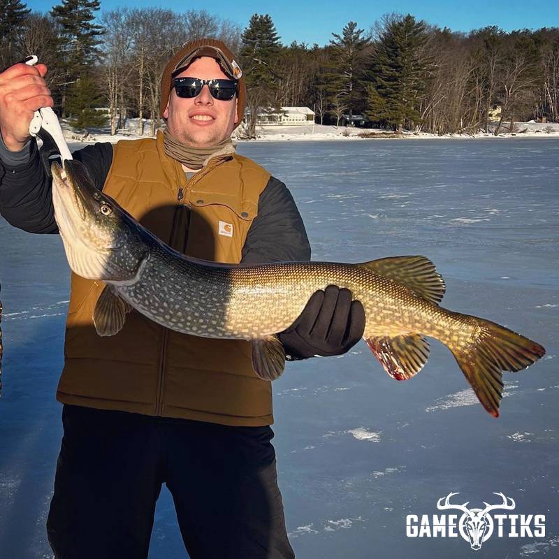 fish harvest by Maine Experience Guide Service
