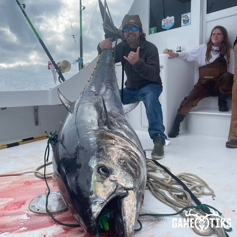 fish harvest by Matt Queen
