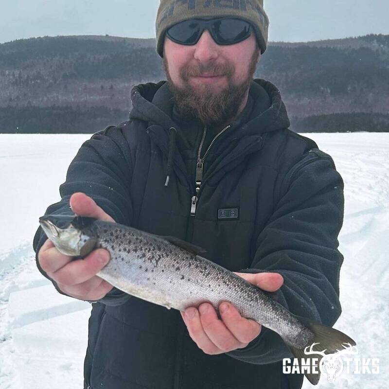 fish harvest by Maine Experience Guide Service