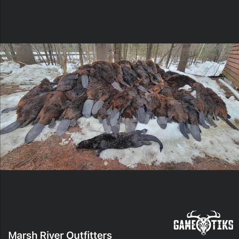 miscellaneous harvest by Marsh River Outfitters