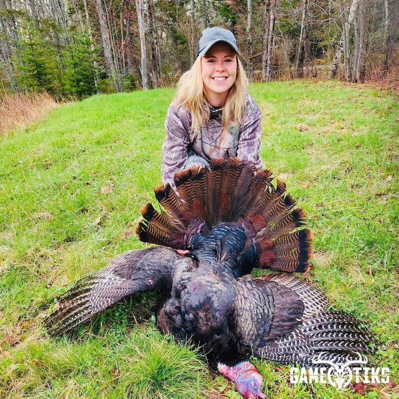 turkey harvest by Amy Lee