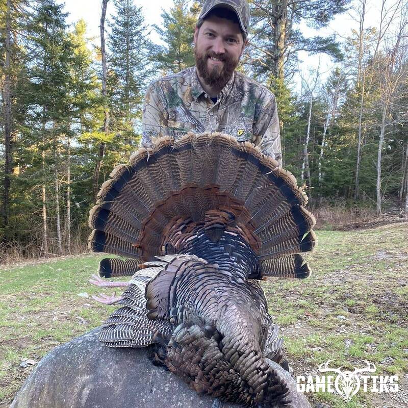 turkey harvest by Zach Harriman