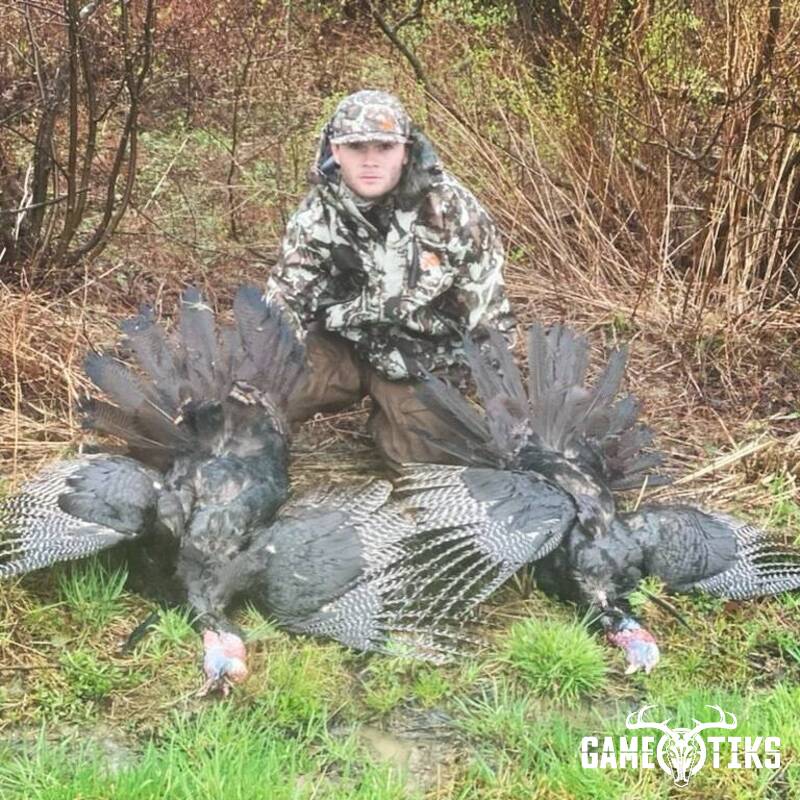 turkey harvest by Maine Experience Guide Service