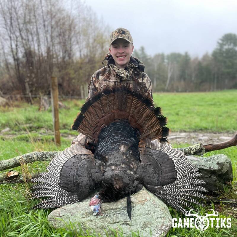 turkey harvest by Maine Experience Guide Service