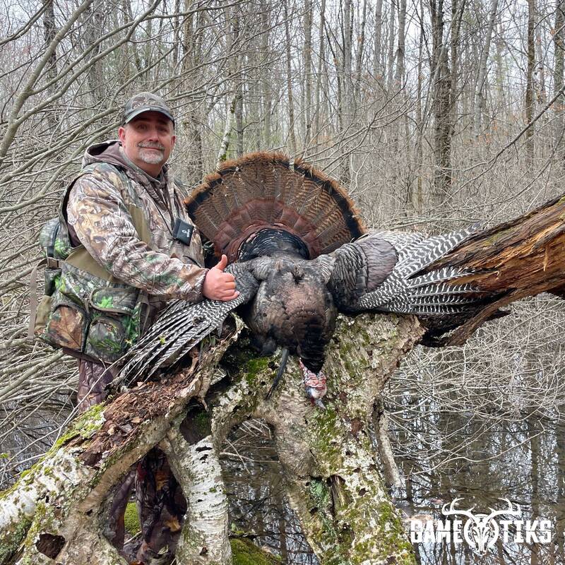 turkey harvest by Maine Experience Guide Service