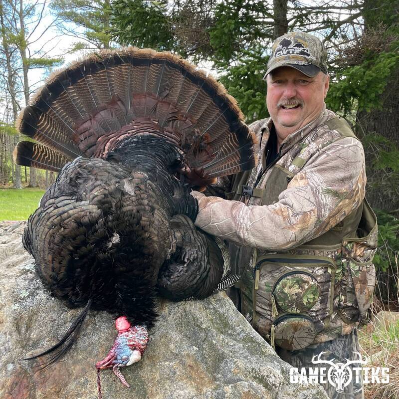 turkey harvest by Maine Experience Guide Service
