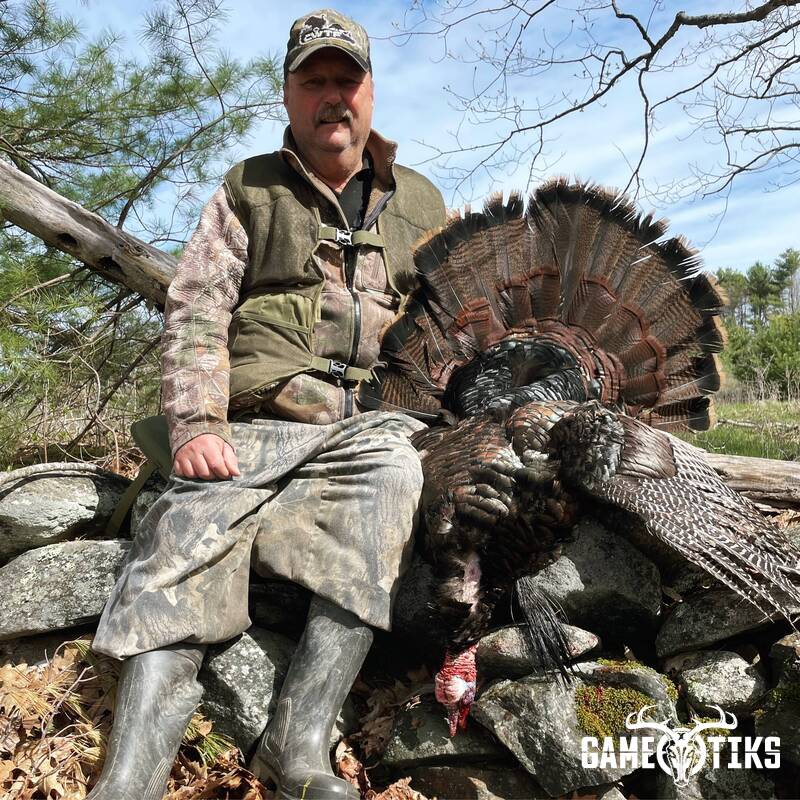turkey harvest by Maine Experience Guide Service