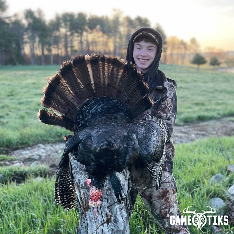 turkey harvest by Maine Experience Guide Service
