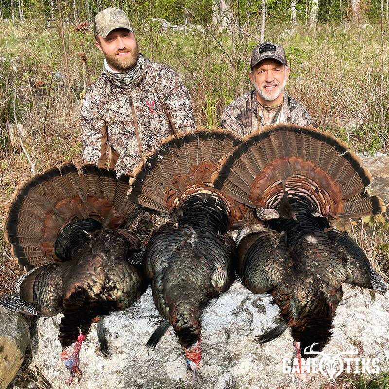 turkey harvest by Maine Experience Guide Service