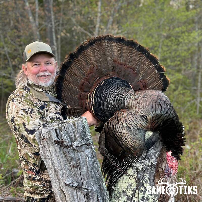 turkey harvest by Maine Experience Guide Service