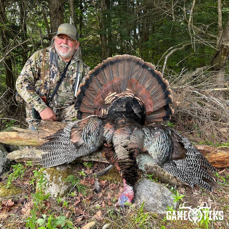 turkey harvest by Maine Experience Guide Service
