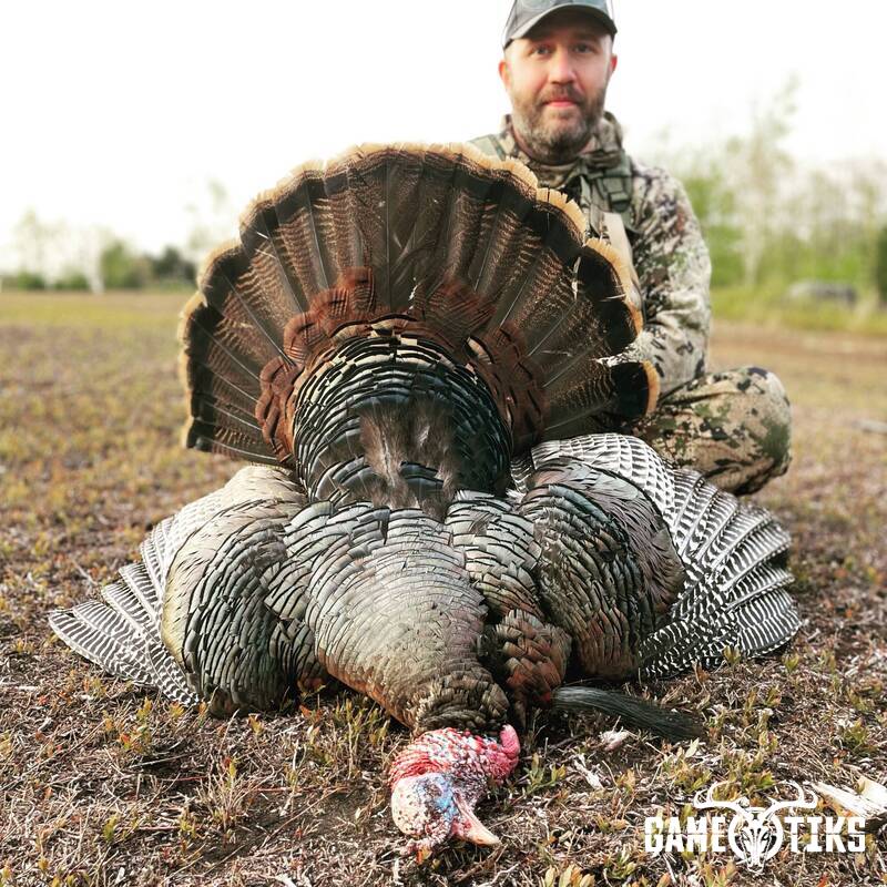 turkey harvest by Maine Experience Guide Service