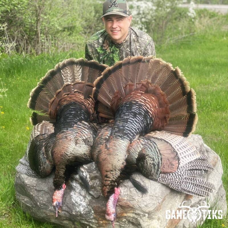 turkey harvest by Maine Experience Guide Service