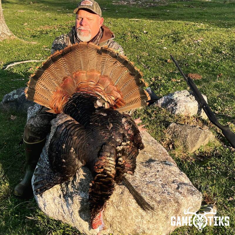 turkey harvest by Maine Experience Guide Service