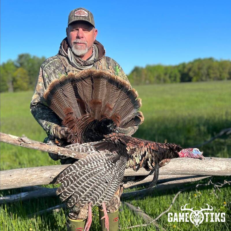 turkey harvest by Maine Experience Guide Service