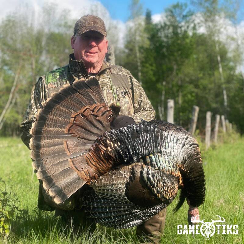 turkey harvest by Maine Experience Guide Service