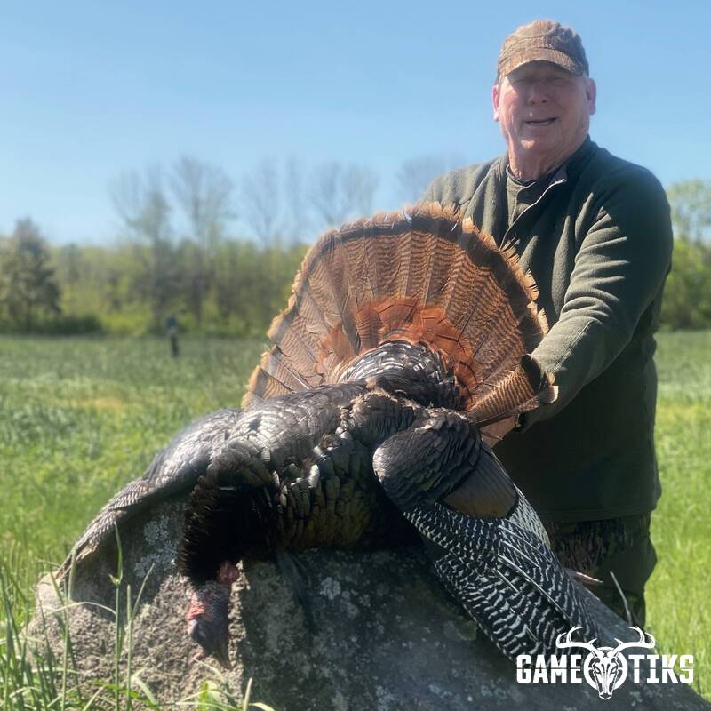 turkey harvest by Maine Experience Guide Service