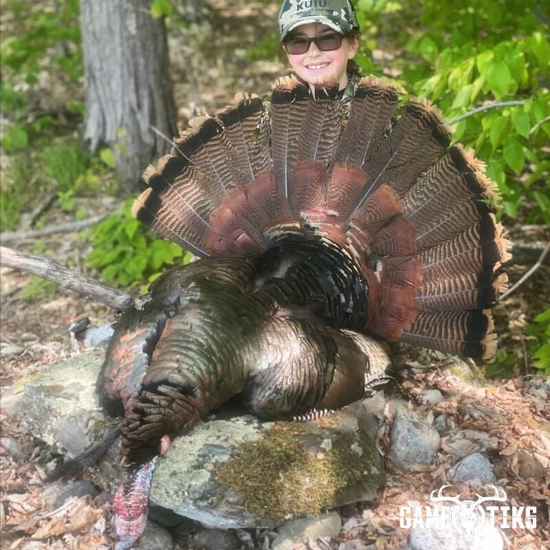 turkey harvest by Maine Experience Guide Service