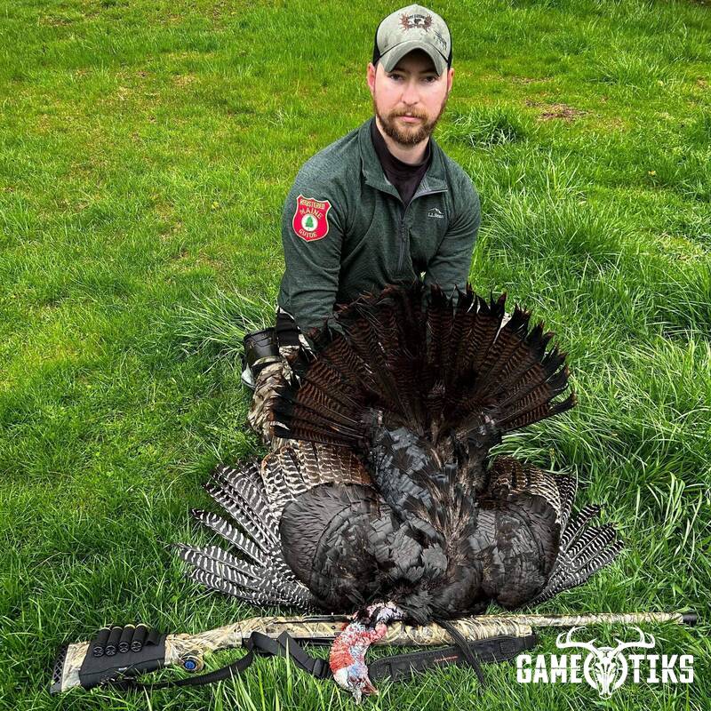 turkey harvest by Maine Experience Guide Service