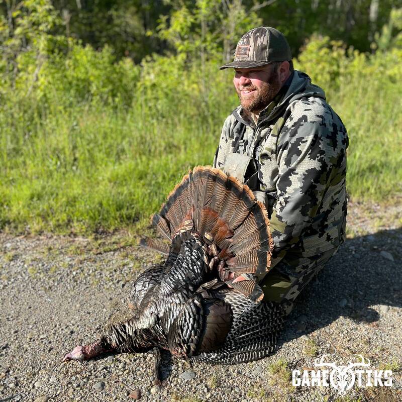 turkey harvest by Maine Experience Guide Service