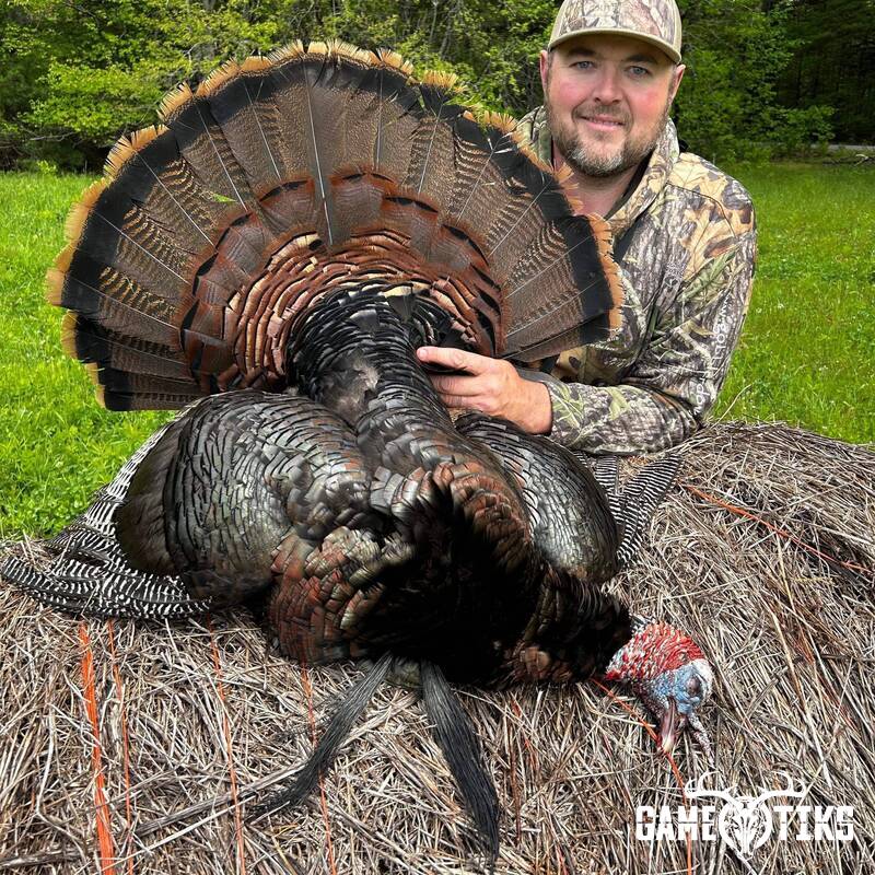 turkey harvest by Maine Experience Guide Service