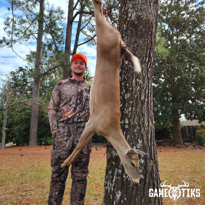 deer harvest by Andrew Jolin