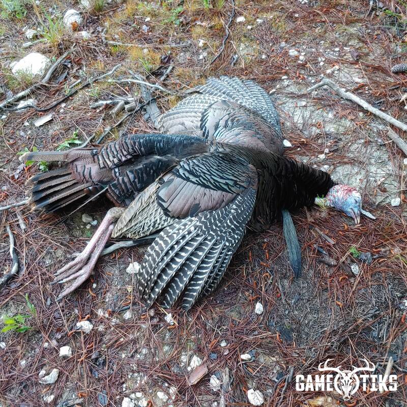 turkey harvest by Andrew Jolin