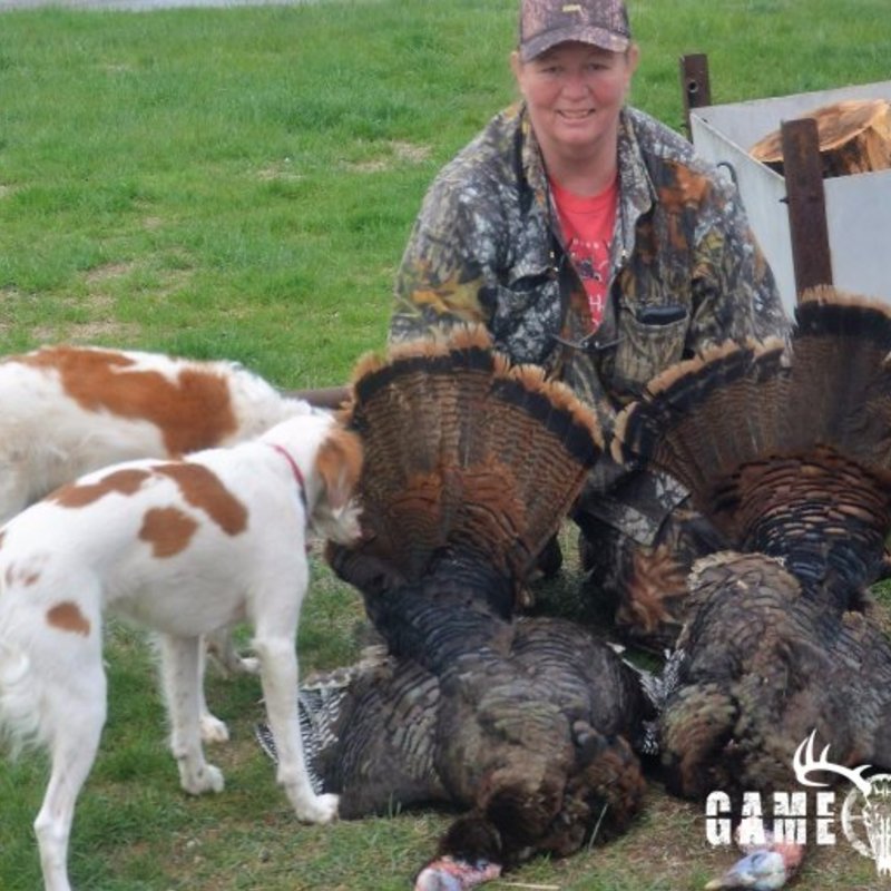 turkey harvest by Debra Gagnon