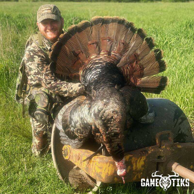 turkey harvest by Maine Experience Guide Service
