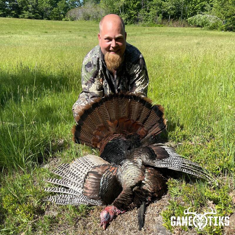 turkey harvest by Maine Experience Guide Service