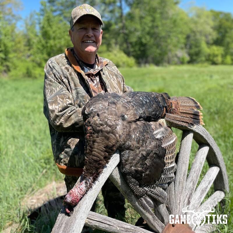 turkey harvest by Maine Experience Guide Service