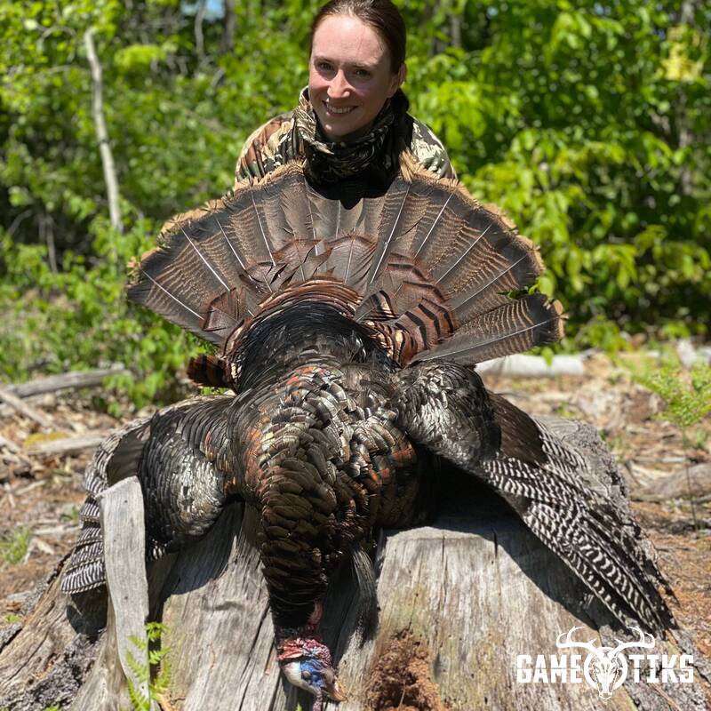turkey harvest by Maine Experience Guide Service
