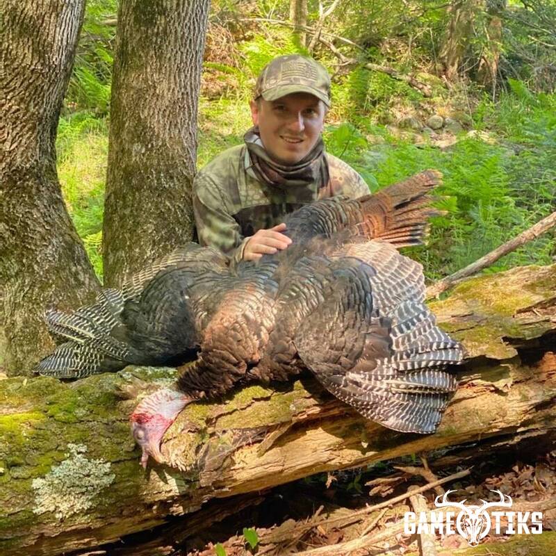 turkey harvest by Maine Experience Guide Service