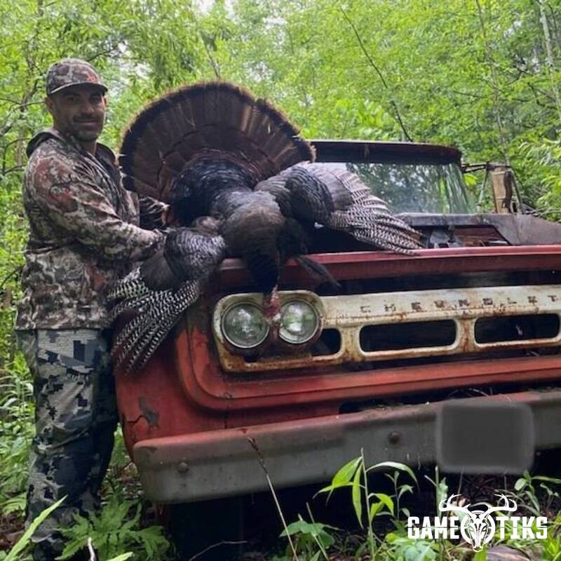 turkey harvest by Maine Experience Guide Service