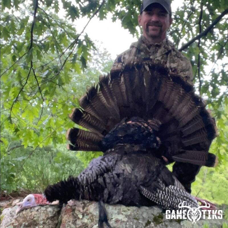 turkey harvest by Maine Experience Guide Service