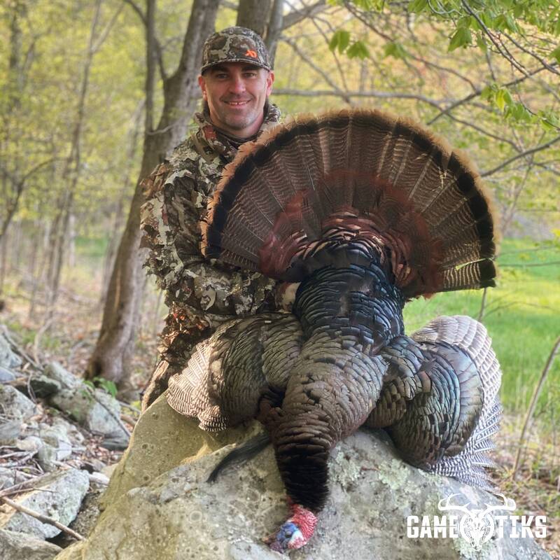 turkey harvest by Maine Experience Guide Service