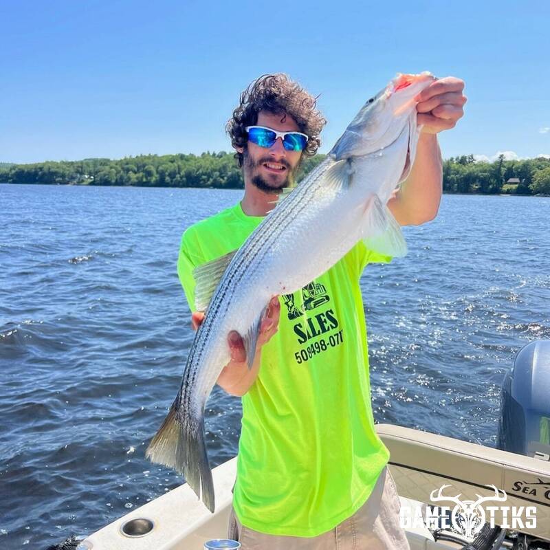 miscellaneous harvest by Marsh River Outfitters