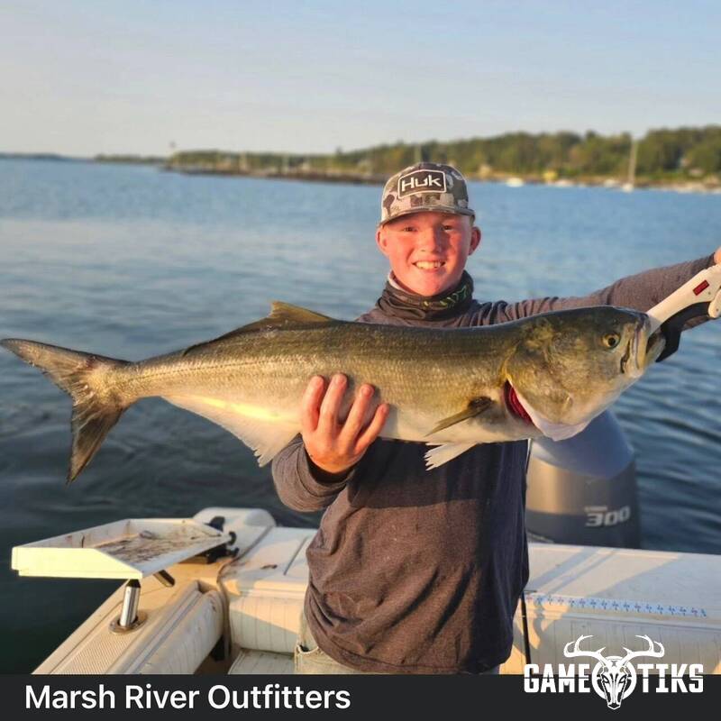 miscellaneous harvest by Marsh River Outfitters