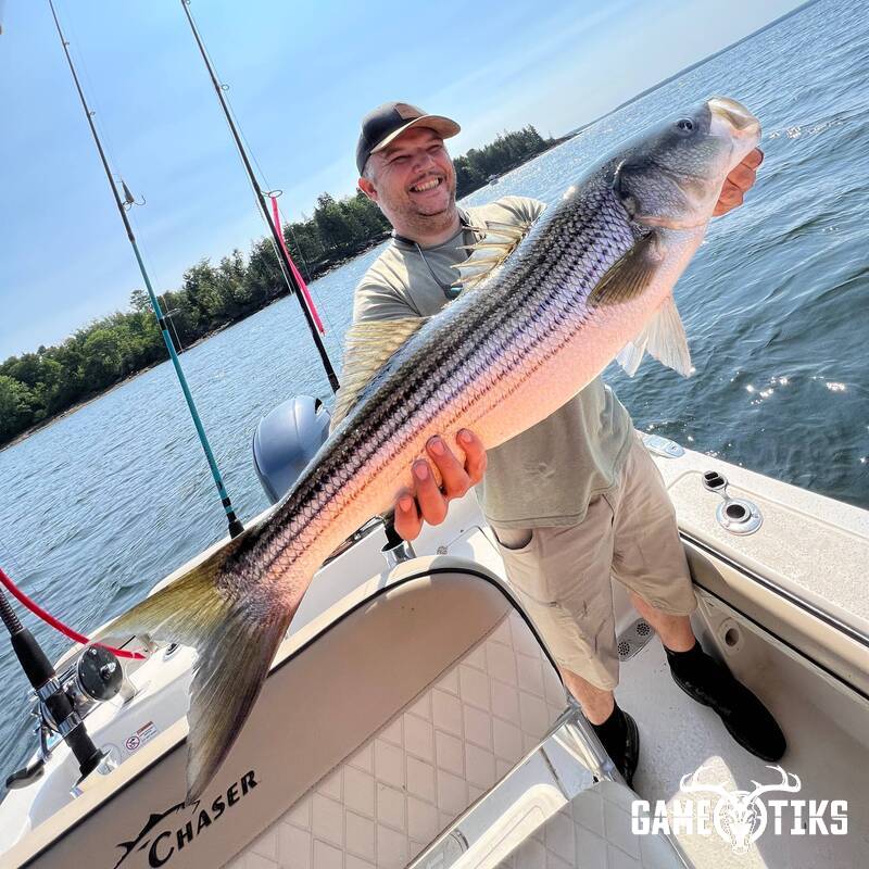 fish harvest by Marsh River Outfitters