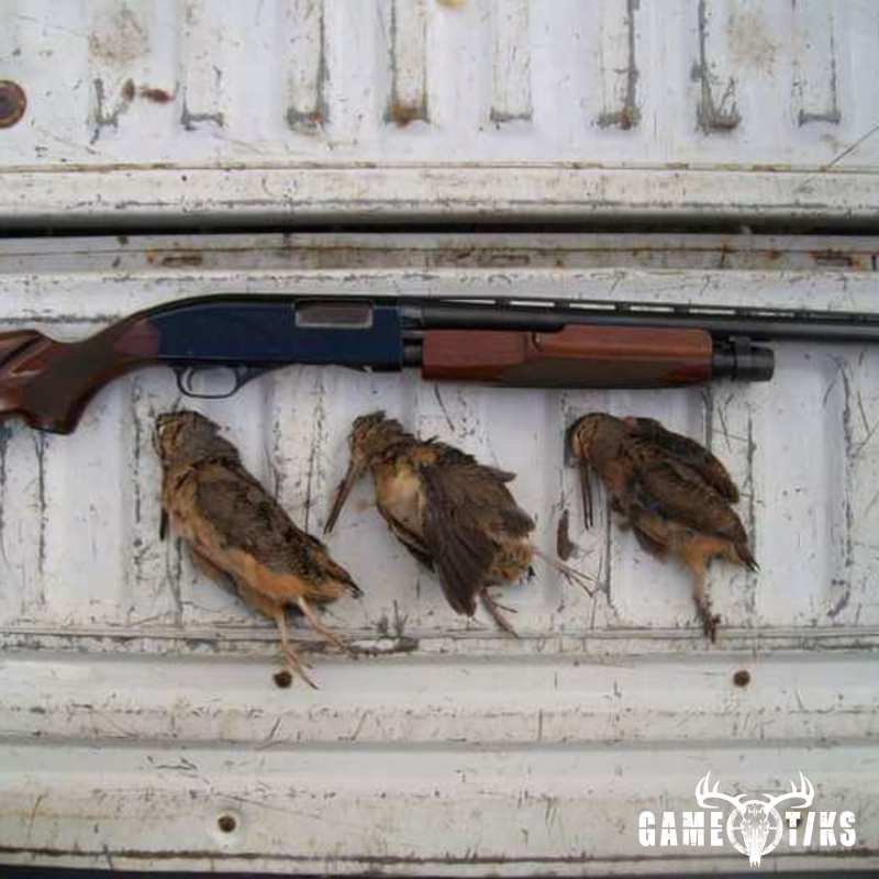 waterfowl harvest by Jesse Dicker