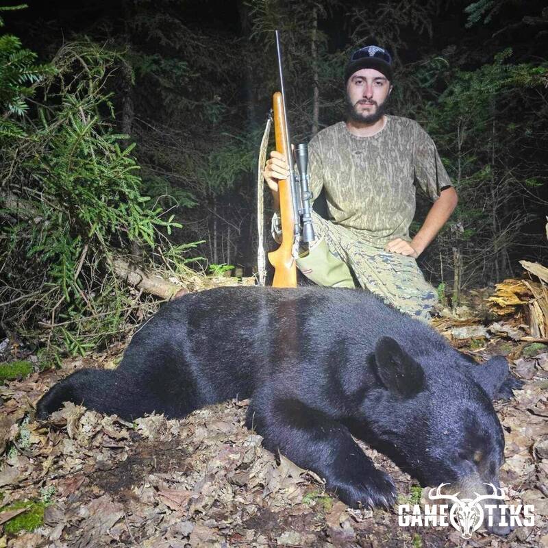 bear harvest by Marsh River Outfitters