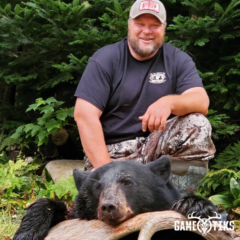 bear harvest by Maine Experience Guide Service