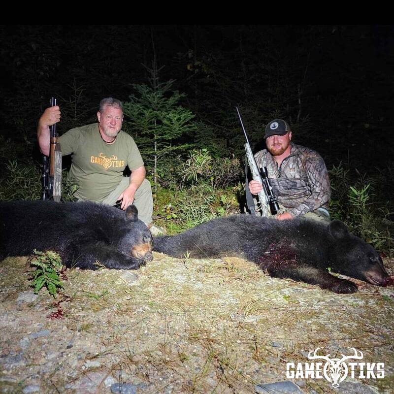 bear harvest by John Gibbs