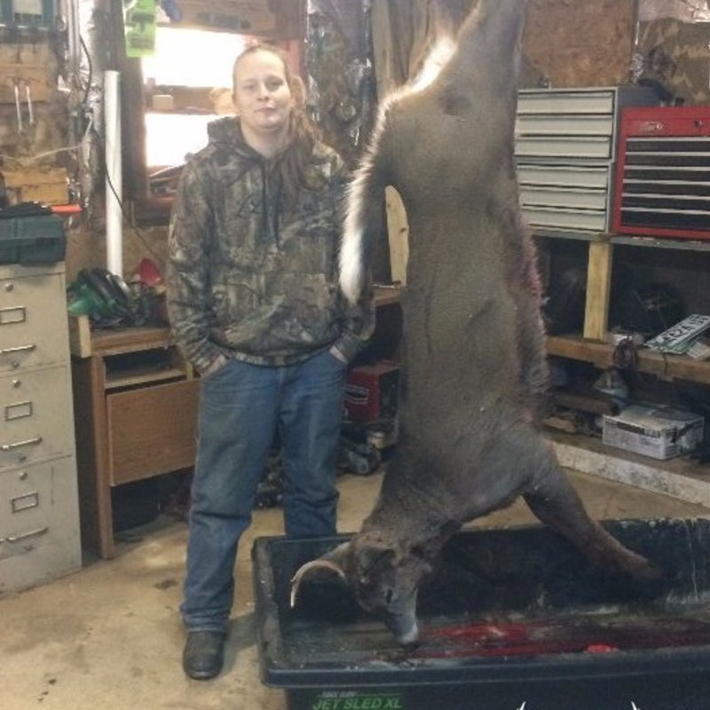 deer harvest by Devin Henderson