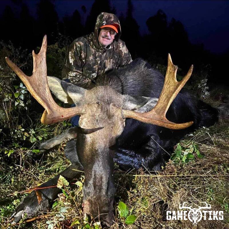 moose harvest by Marsh River Outfitters