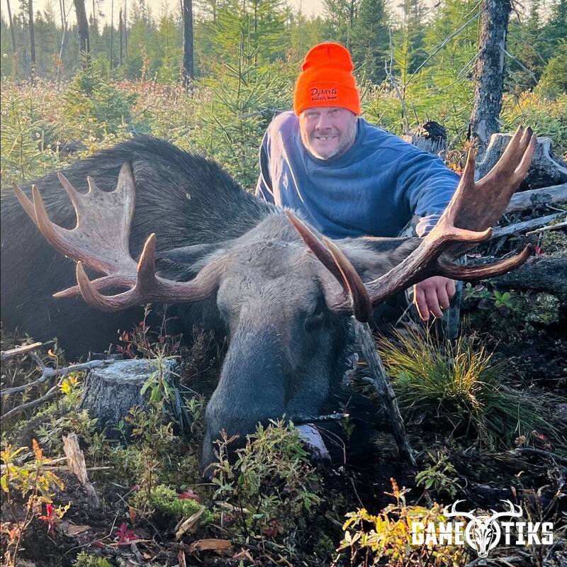 moose harvest by Marsh River Outfitters