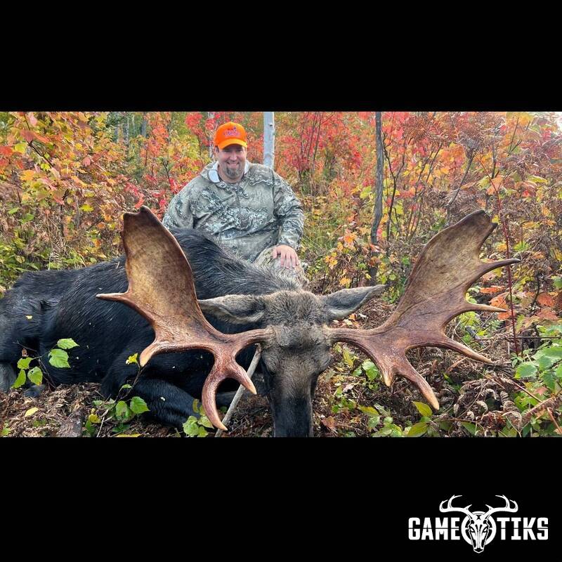 moose harvest by Marsh River Outfitters