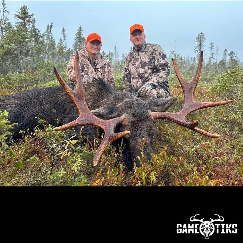 moose harvest by Marsh River Outfitters
