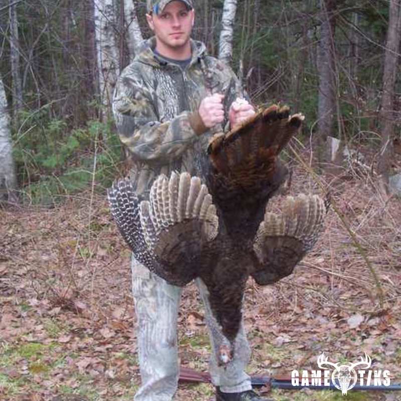 turkey harvest by Jesse Dicker