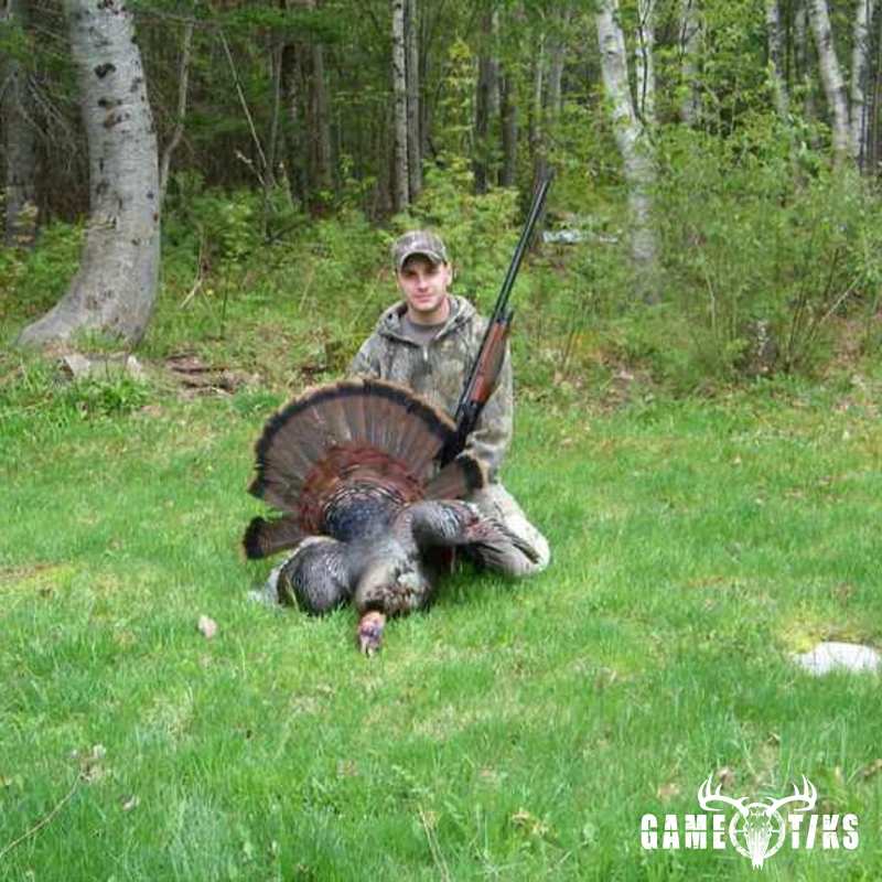 turkey harvest by Jesse Dicker